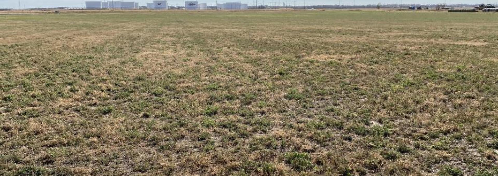 What We Do Fortify Group Insurance & Real Estate, Geneva & Shickley, NE